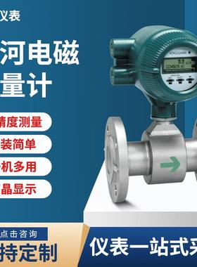 横河电磁流量计AXG横河电磁流量计AXF065G-E2AL1S-AD21-21BSE115M
