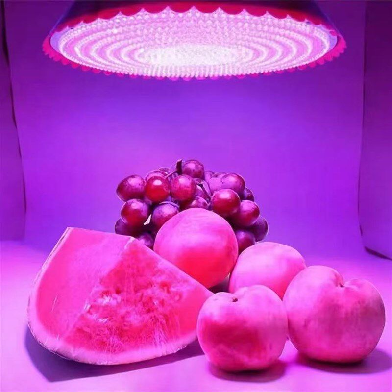 2024新款生猪肉加大LED生鲜灯猪肉灯熟食店专用灯卤肉超市水果灯