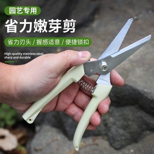 园艺剪刀家用剪树枝剪花剪纸专用剪刀修剪剪刀手工花艺剪刀修枝剪