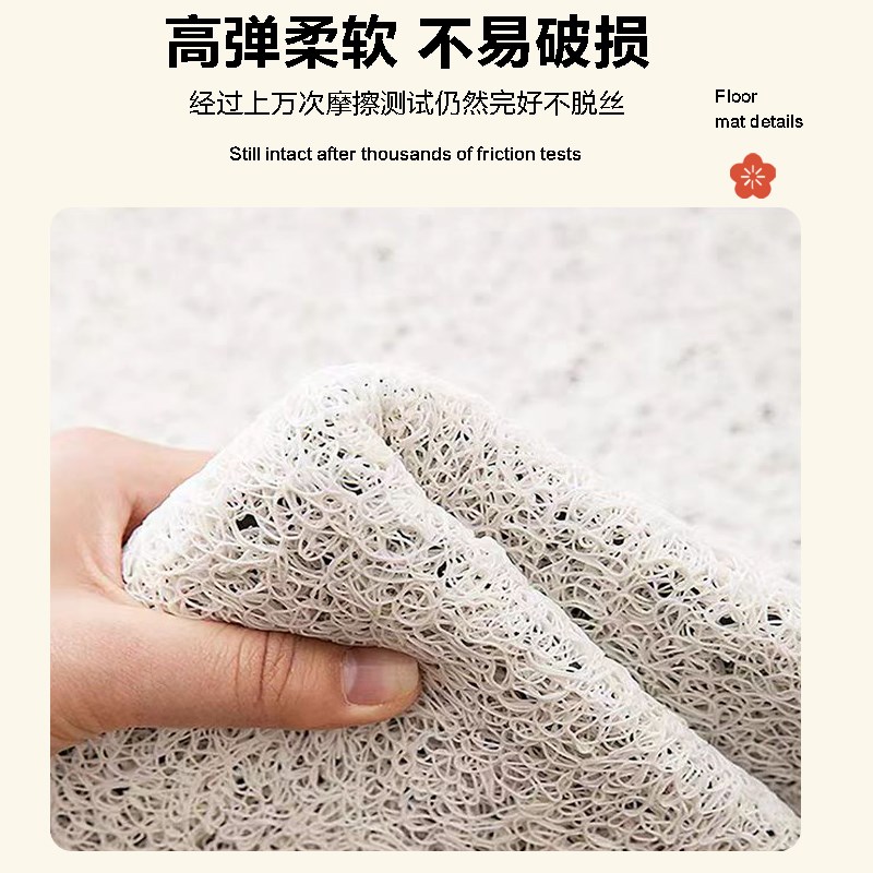 入户门地垫进门大门口家用脚垫可裁剪耐脏丝圈垫子轻奢高级感门垫