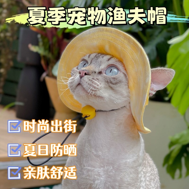 猫咪帽子露耳朵头饰夏季遮阳帽防晒可爱装扮金渐层布偶宠物小狗狗