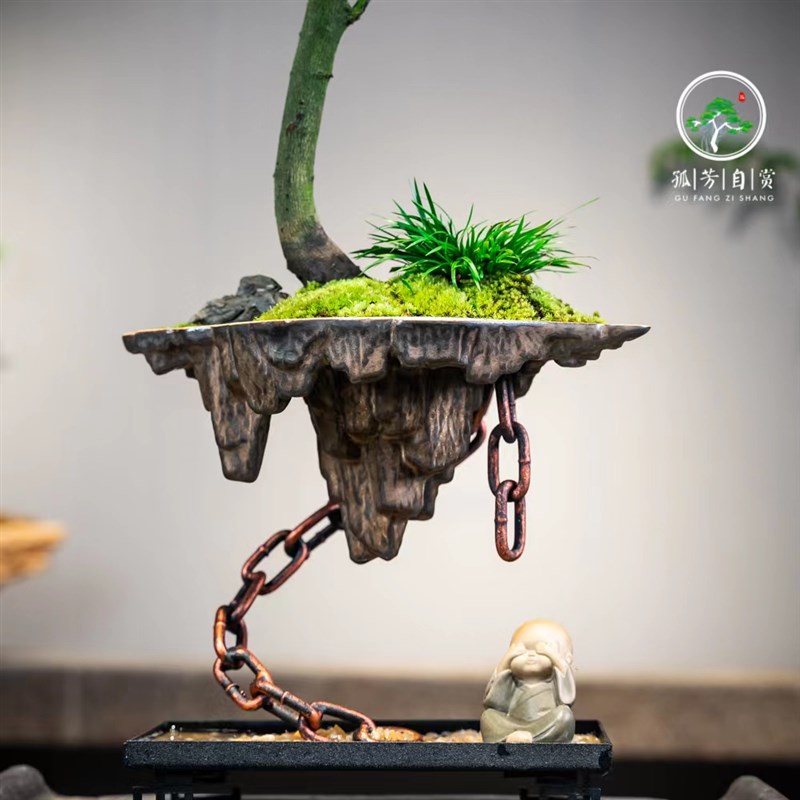 铁艺悬浮天空之城小叶紫檀创意植物盆栽禅意室内景观微家居盆景树