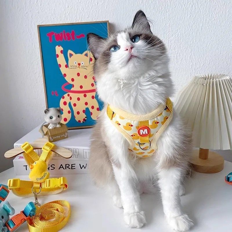 猫咪牵引绳防挣脱遛猫绳狗狗小狗夏季外出专用绳子可爱幼猫用品,宠物/宠物食品及用品,猫牵引绳,淘宝优惠券,粉丝福利购,淘宝优惠卷