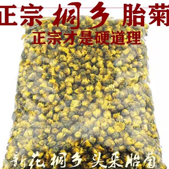 健康花茶新花桐乡特产头采胎菊王正宗菊花茶菊菊花250g500g