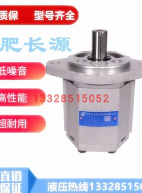 合肥长源齿轮泵CBQ-F573/F563/F550/G520/G525/G532/G540-AFH/CFP
