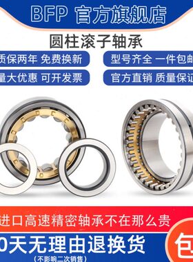 进口BFP圆柱滚子轴承NUP2205 2206 2207 2208 2209 2210EM 二类