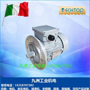 意大利特波电机立式0.37/0.75/1.1/1.5/2.2/3KW三相异步交流马达