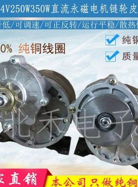 12V24V250W350W减速有刷电机MY1016Z2羚鹰电动车电机尤奈特同款