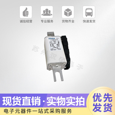 巴斯曼快速低压熔断器170M3988 3989 3990 3991 3992 品质保证