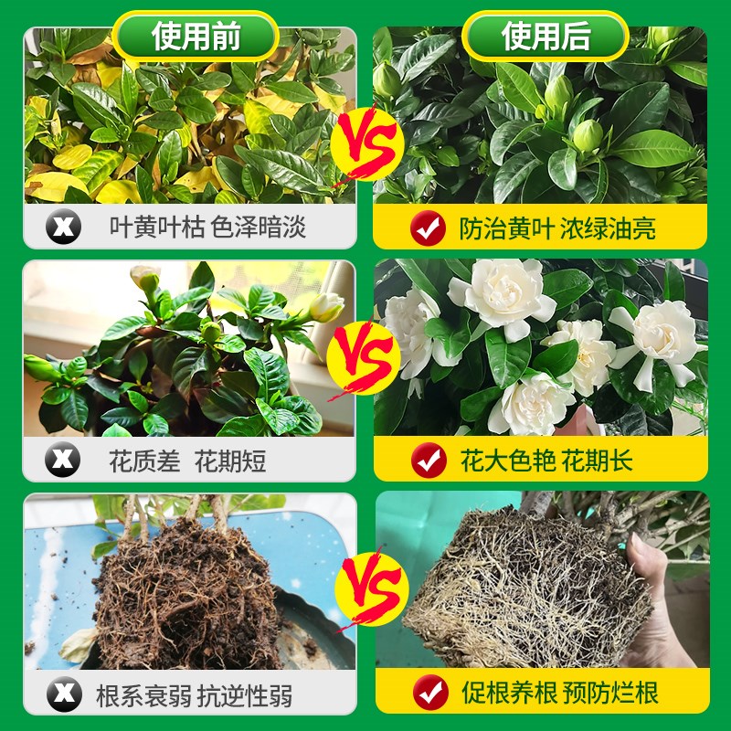 栀子花专用肥料营养液酸性植物绿植室内花卉盆栽阳台种植园艺家用
