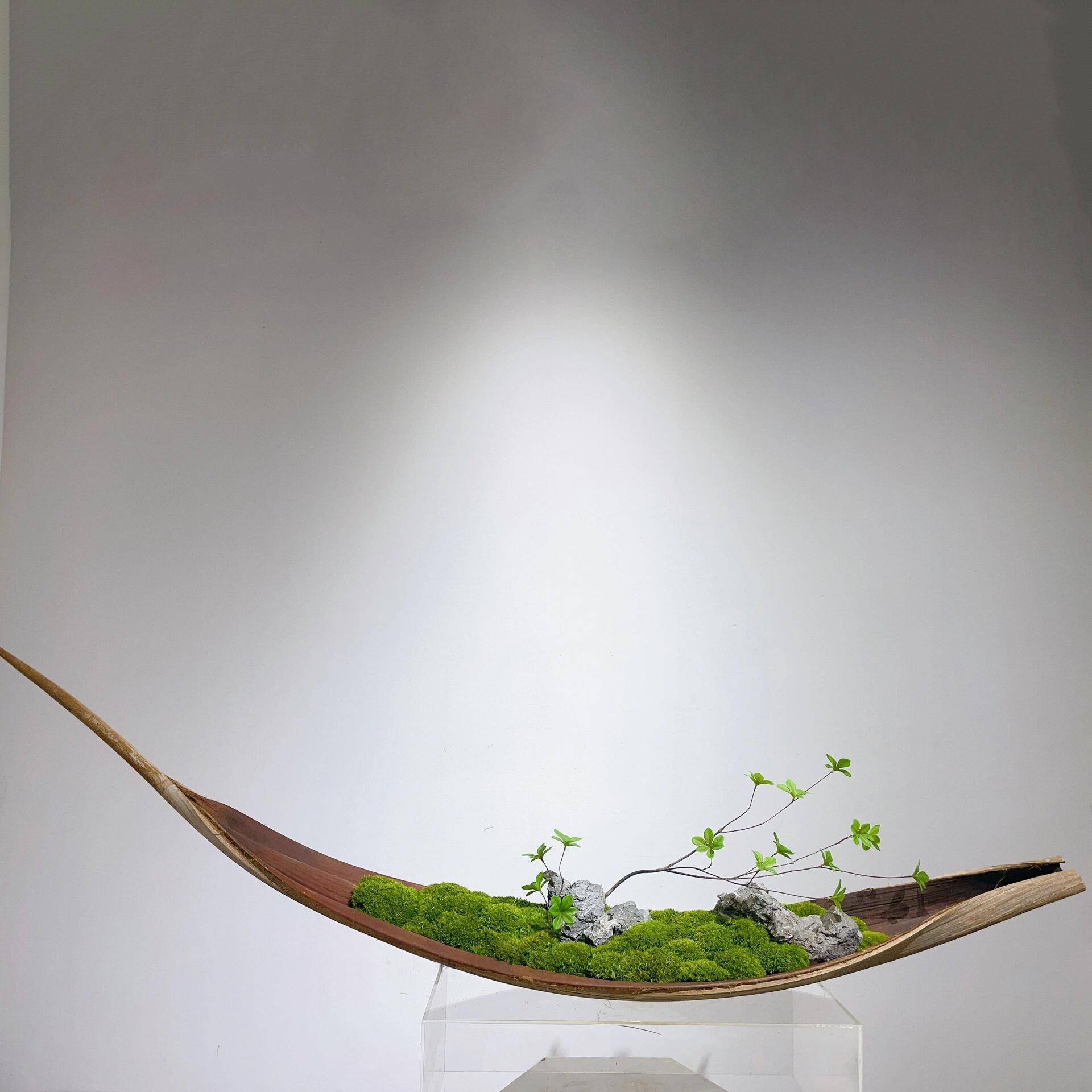 新中式青永TML生苔苔藓桌面茶室装饰花艺酒店样摆板间船型件彷真