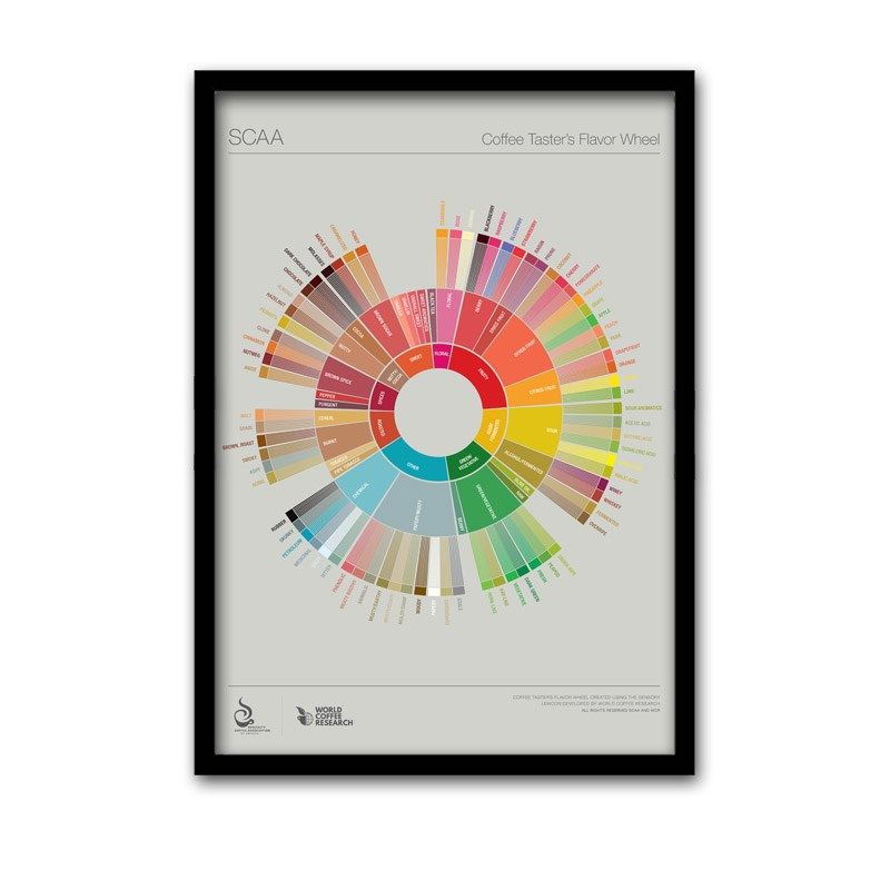 咖啡风味轮SCAA挂画咖啡文化产区装饰画咖啡厅创意复古西餐厅挂画