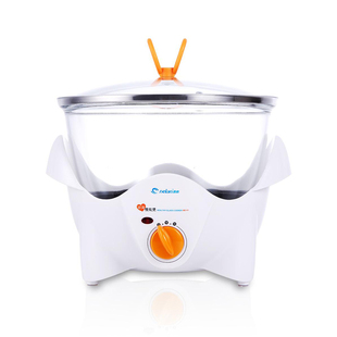 n德朗 玻璃养生锅慢炖锅煲汤煎药膳保健电炖锅