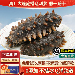 向阳渔港大连鲜食海参独立包装孕妇滋补底播辽刺参过年送礼礼盒