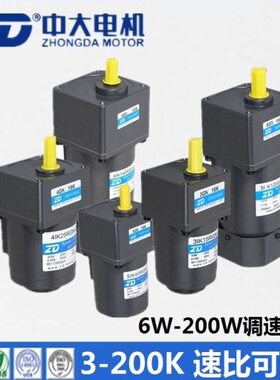 中大电机 6W15W25W40W60W90W120W140W200W交流调速电机 220V马达