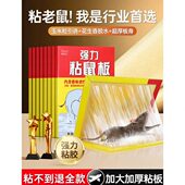 粘鼠板强力胶粘老鼠新款 超大号加厚家用黏沾老鼠贴全自动捕鼠神器