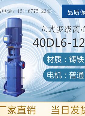 DLR型高温多级泵 高温多级离心泵 DLR型热水多级泵