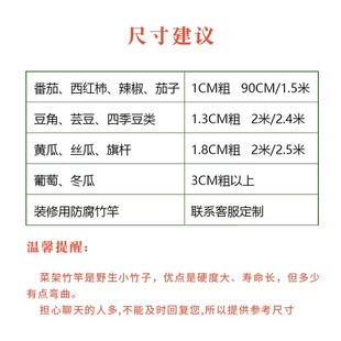 竹竿子搭架菜园园艺支架豆角黄瓜支撑杆花架植物园番茄固定爬藤架