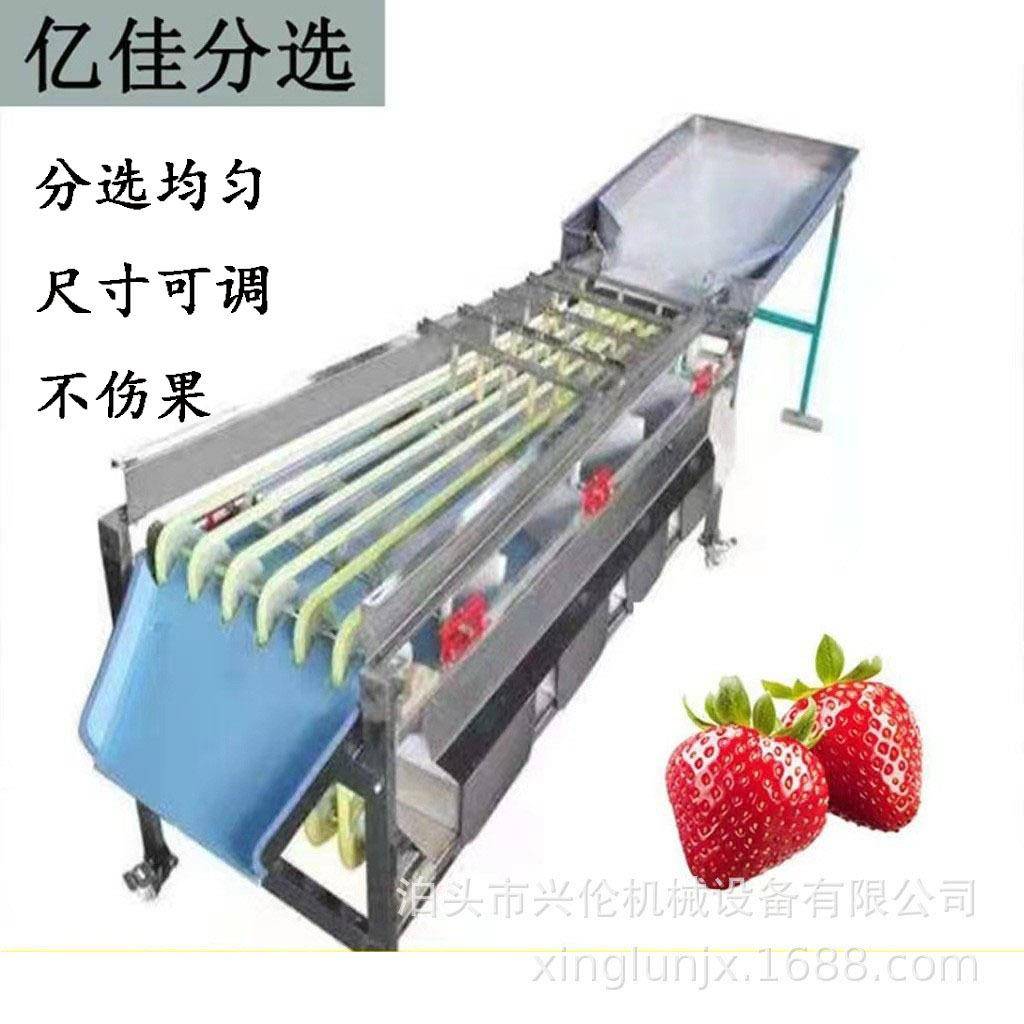 青梅分选机灰枣分大小机三华李选果机小型皮带式果蔬筛选机