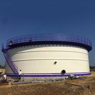 工程工地立式 玻璃钢储罐碳钢大型加厚化工储罐圆柱形工业储罐