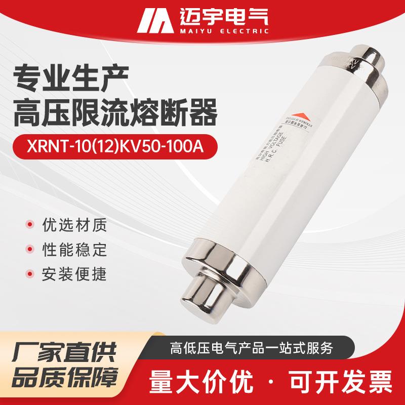 销售高分断能力高压限流熔断器XRNT-10(12)KV50-100A高压熔断器
