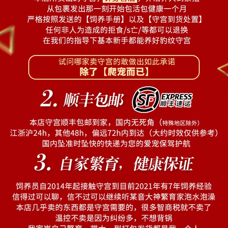 豹纹守宫幼崽肥尾蜥蜴家养爬宠异宠温顺可爱爬虫易好养另类宠物