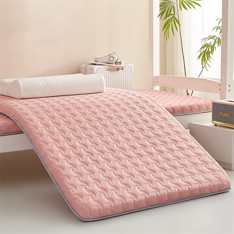 冬夏两用床垫乳胶凉席软垫床褥定制尺寸85x190x75x195x65x170x95