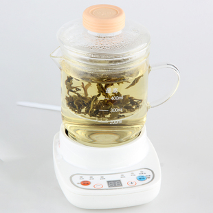 办公室小型陶瓷电炖杯多功能玻璃电热杯子宿舍加热烧水全自动煮粥