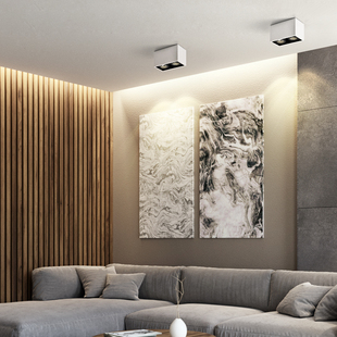 无灯明装头吸顶客厅过道方形格栅灯斗胆