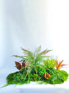 真绿植景11301155造景组合布置内观室植物摆放假花落地橱窗高级彷