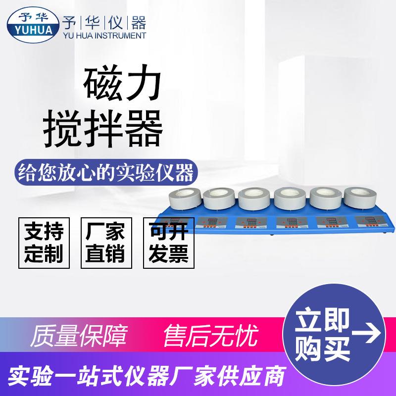 ZNCL-DLS-6联100ml250ml500ml1000ml数显磁力搅拌电热套