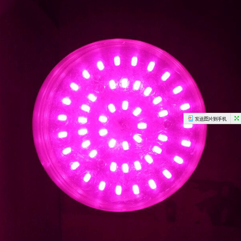 棚鲜全光谱led植物生长灯多肉蔬菜大棚植物补光灯防太阳光红蓝光