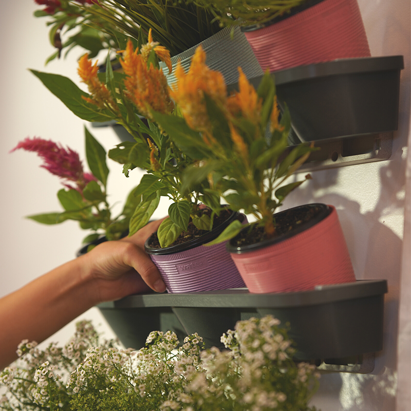 小麦秸秆挂壁式花盆自吸水式花盆客厅卧室室内花卉绿植种植盆