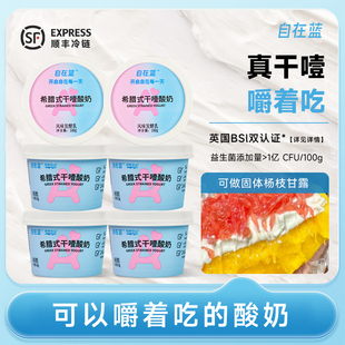 自在蓝干噎酸奶希腊式冷萃干巴干嚼厚酸奶可做固体杨枝甘露糖葫芦