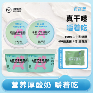 自在蓝干噎酸奶正品希腊式冷萃干巴干嚼厚酸奶营养早餐官方旗舰店