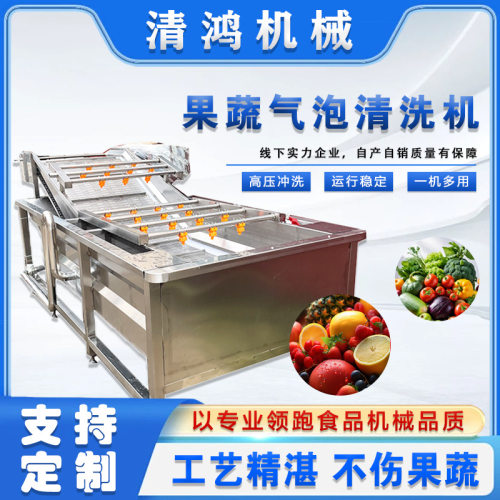商用蔬菜气泡清洗机 净菜加工设备 定制连续式果蔬加工成套机械