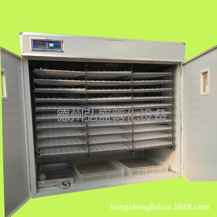 5280枚全自动鸡蛋孵化机鸡苗孵化器鹅蛋孵蛋器鸽子孵化箱设备,畜牧/养殖物资,畜牧/养殖器械,淘宝优惠券,粉丝福利购,淘宝优惠卷