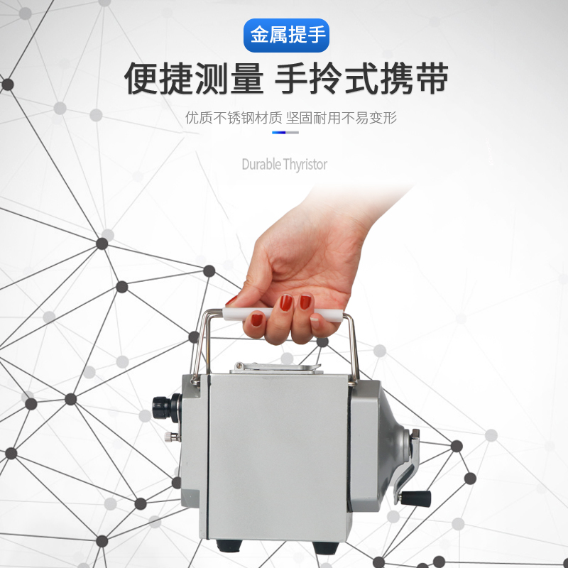 兆欧表100V绝缘电阻表ZC25-1兆欧表 摇表0-100欧接地电阻测试仪