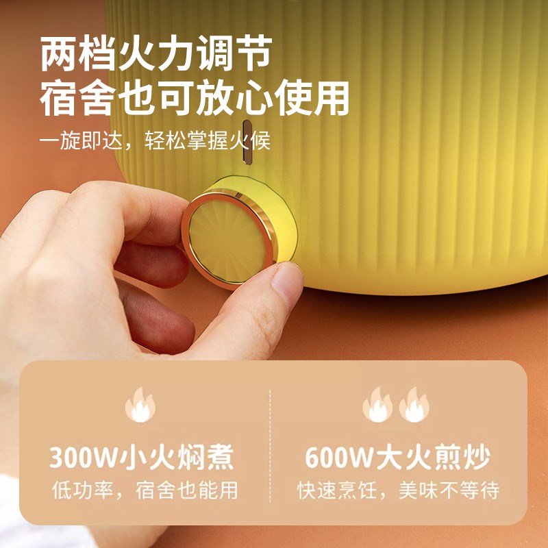 邻鹿小电锅宿舍锅学生电煮锅多功能煮面锅迷你多用途小电锅LR-