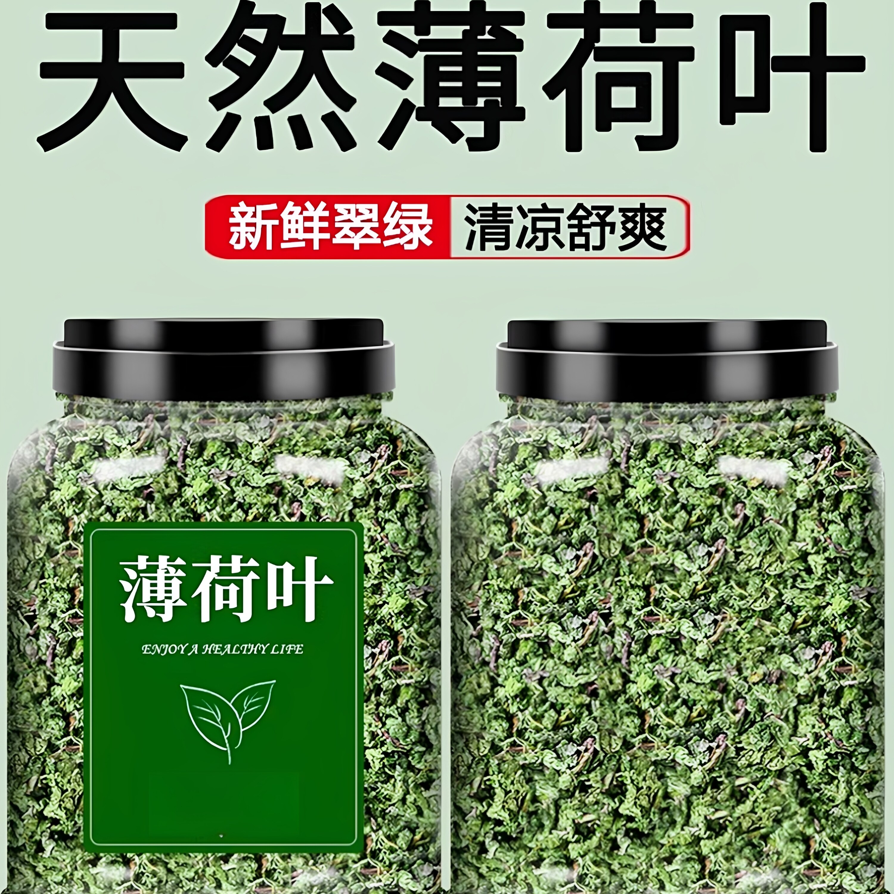 薄荷茶叶干薄荷叶新鲜可食用泡茶