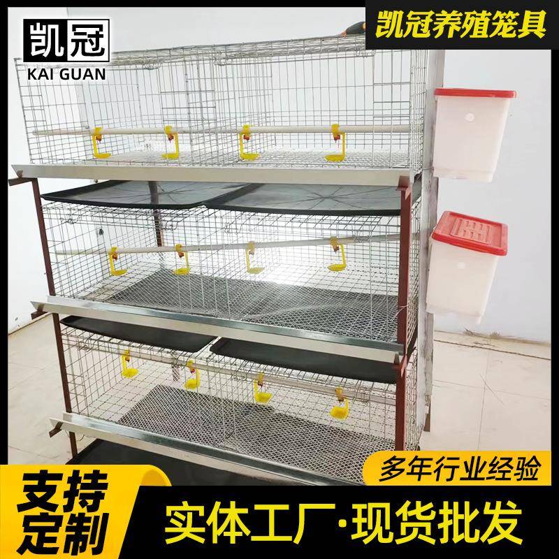 半自动肉鸡笼走地鸡圈养笼半自动清粪肉鸡笼小型养殖户用养殖设备
