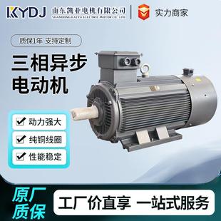 YE5 YE4 YVF2厂家直销 YE3 三相异步电动机110V220V380VYL