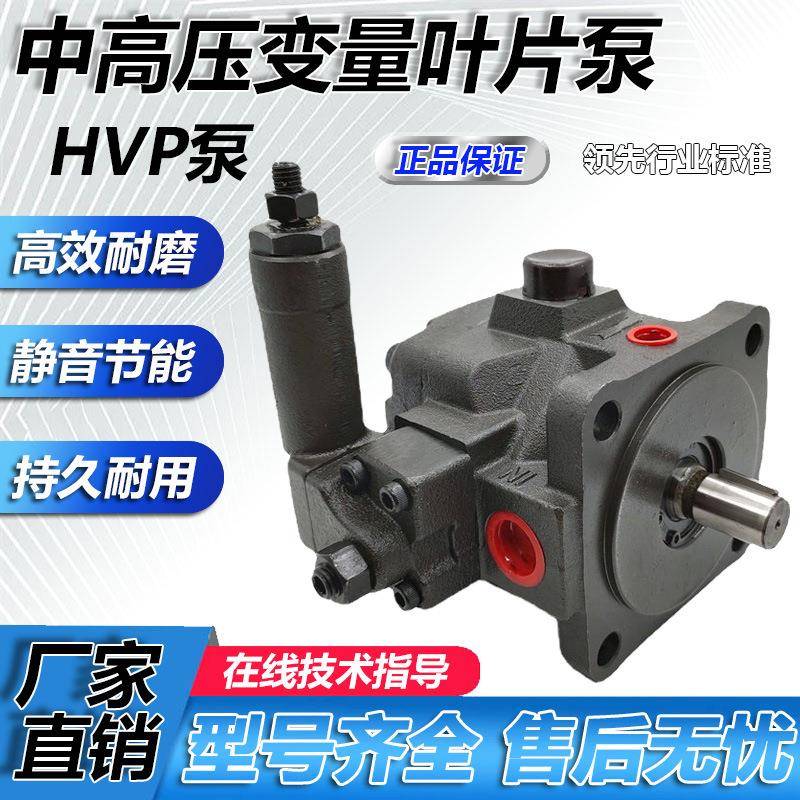 液压系统中高压变量叶片泵HVP-30-FA3液压站可配HVP油泵量大从优
