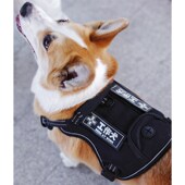 狗狗防爆冲战术胸背带柯基透气背心式 遛狗绳牵引绳不勒脖中大型犬