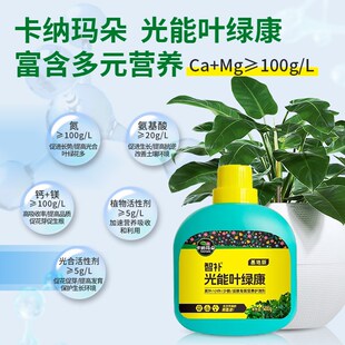 卡纳玛朵光能叶绿康营养液植物通用型叶绿素发财树幸福树园艺家用
