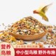 五谷混合鸟粮营养粮鸟食文鸟中小鸟粮户外布施喂鸟器珍珠鸟布谷鸟