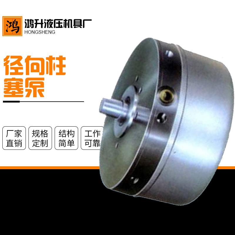 机床静压大排量RK径向柱塞泵体积小低噪音超高压径向柱塞泵