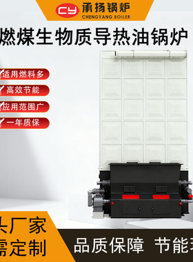 26000KW2200万大卡燃煤生物质导热油锅炉自动给料大型工业厂用