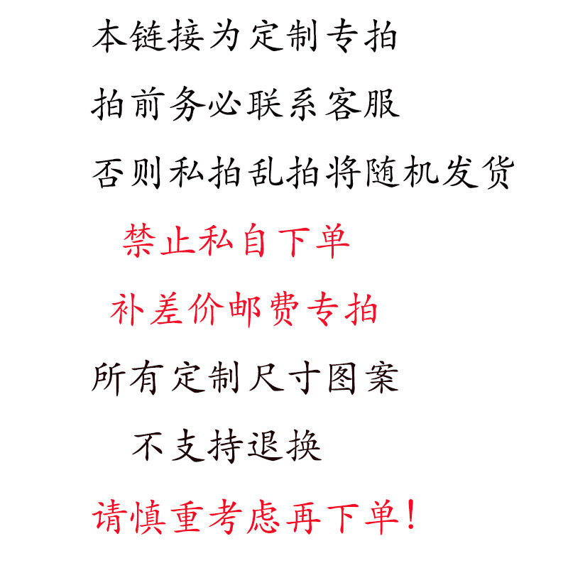 国画定制代画临摹纯手绘牡丹鸟人物小品客厅卧室装饰挂画带框