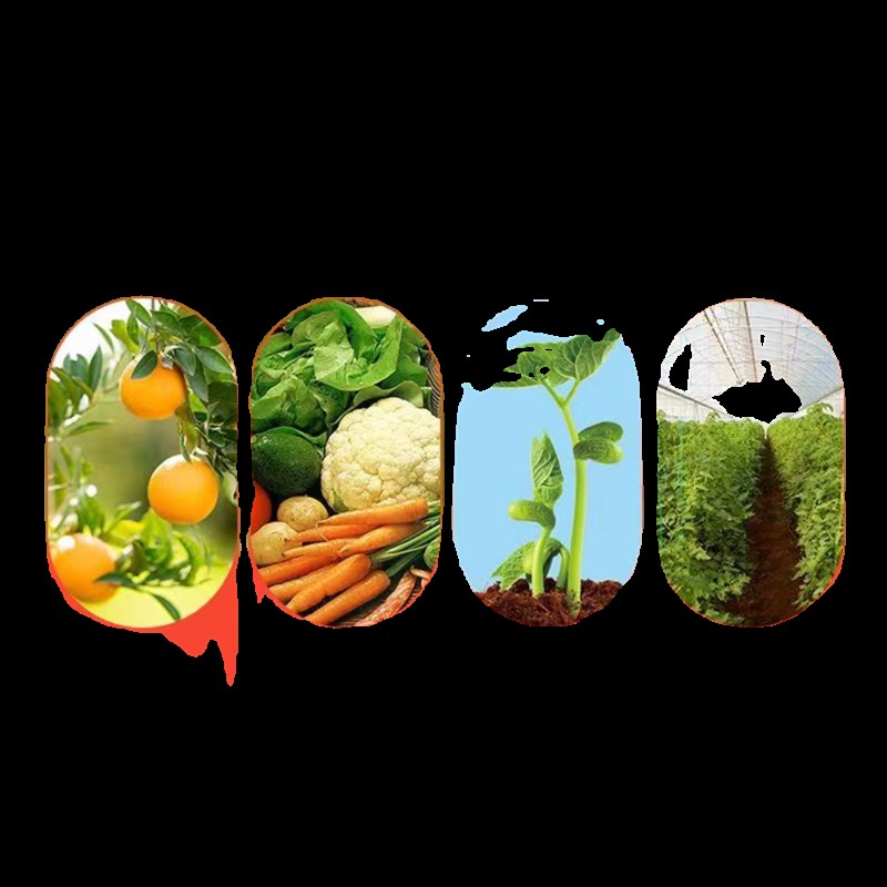 天赐宝含腐殖酸水溶肥叶面肥有机生物肥抗冻壮苗提苗氮磷钾营养液